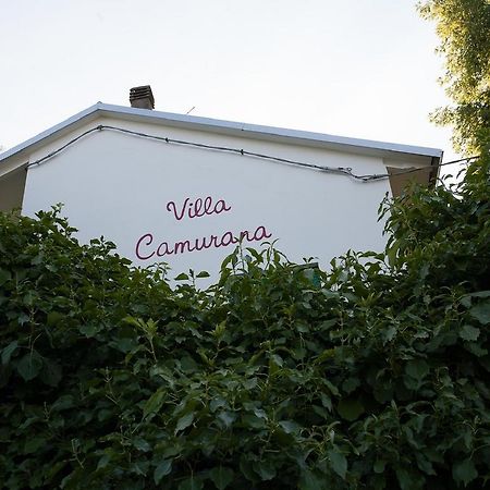 Villa Camurana Medolla Екстериор снимка